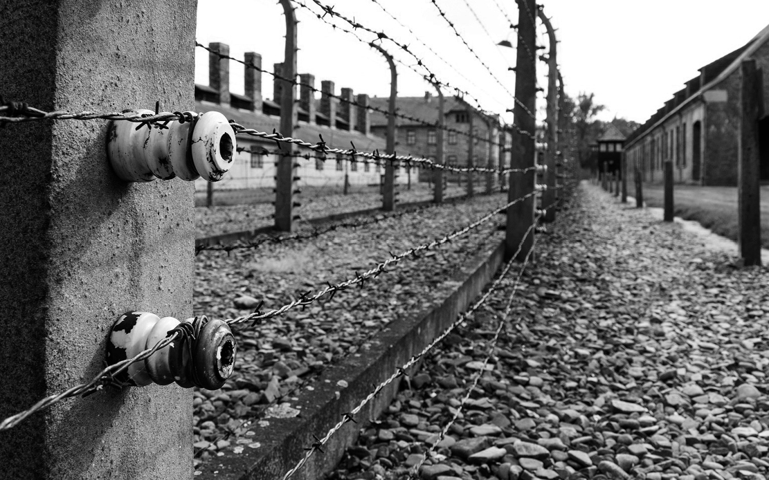 Giornata della Memoria | 27 gennaio | UNIBS